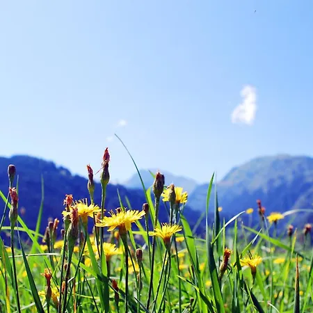 Gaestehaus Einoedberg *