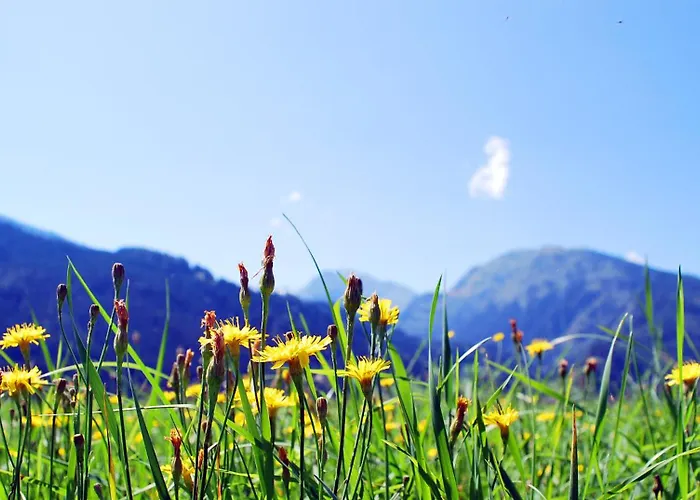 Gaestehaus Einoedberg *